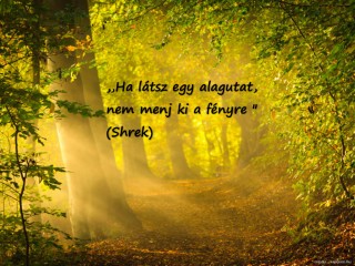 Erdő mélyén