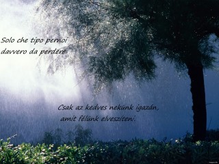 Esőben